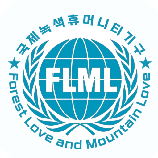 유엔 경제사회이사회 특별자문지위기구(Organization in Special Consultative Status with the United Nations Economic and Social Council since 2021